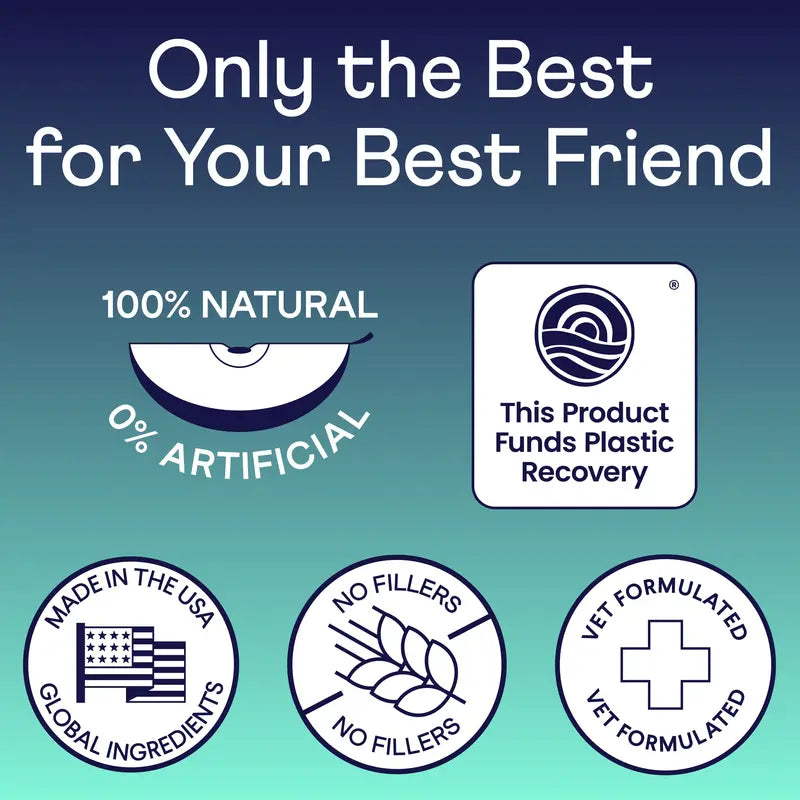 Vet-Recommended Dental Powder