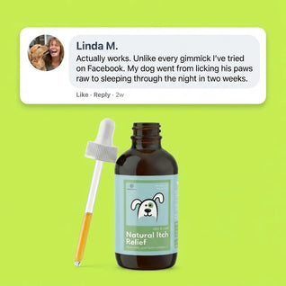 Vet-recommended Collagen Drops