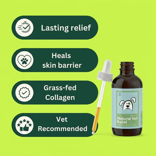 Vet-recommended Collagen Drops