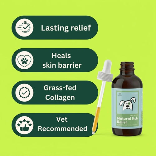 Vet-recommended Collagen Drops