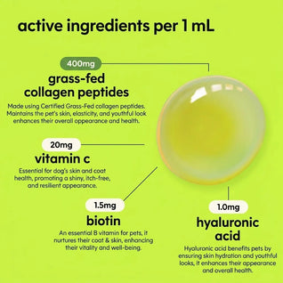 Vet-recommended Collagen Drops