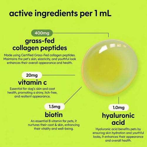 Vet-recommended Collagen Drops