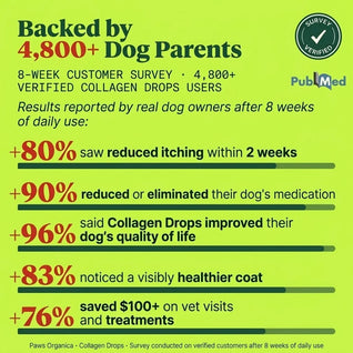 Vet-recommended Collagen Drops