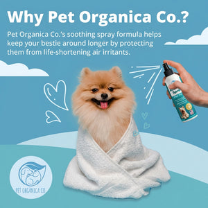 Vet-recommended Anti-Itch Spray