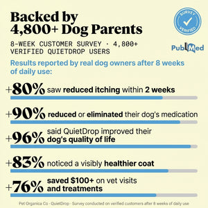 QuietDrop for Itchy Dogs