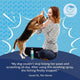 Vet-recommended Anti-Itch Spray