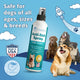 Vet-recommended Anti-Itch Spray