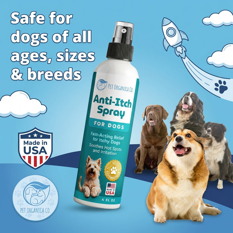 Vet-recommended Anti-Itch Spray