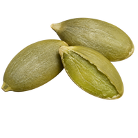 Pumpkin Seed