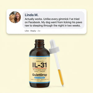 QuietDrop for Itchy Dogs