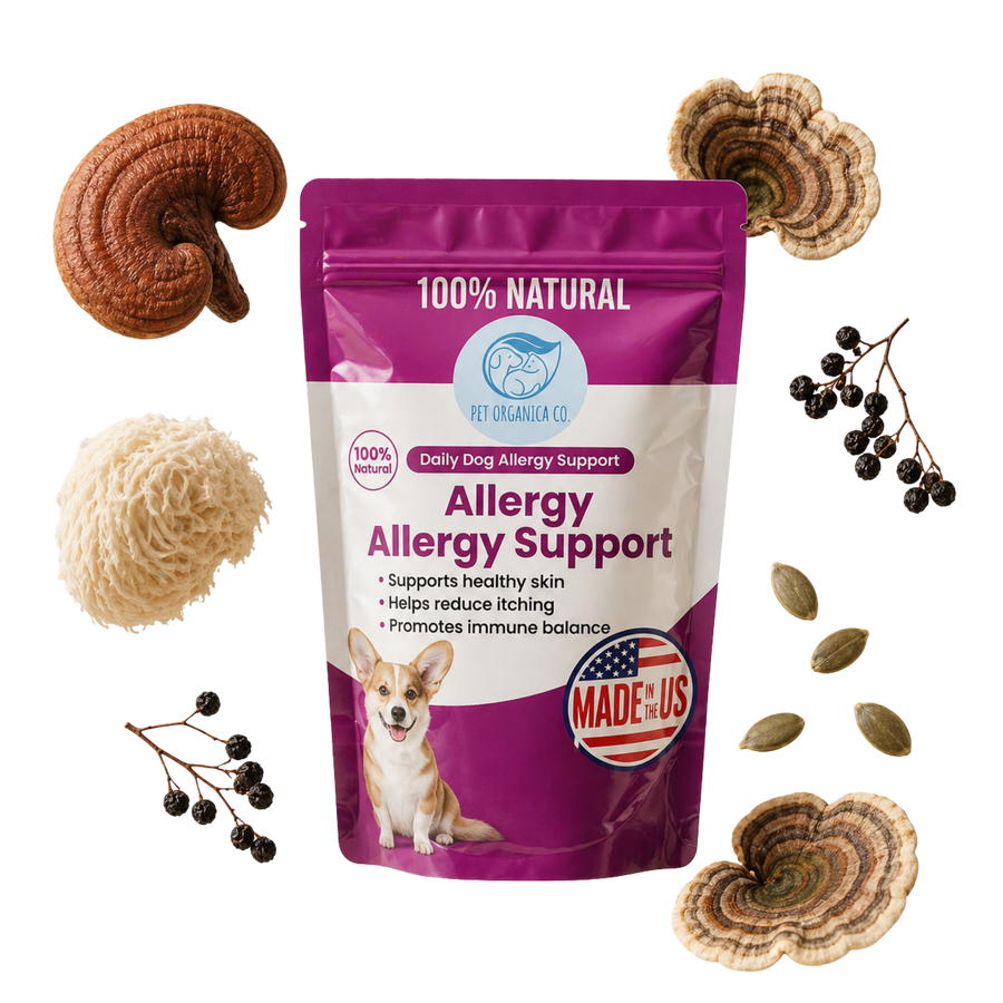 Mushroom Allergy Gut Support