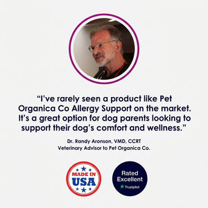 Vet-recommended Allergy Support