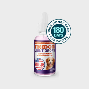 Vet-recommended Joint Pain Relief