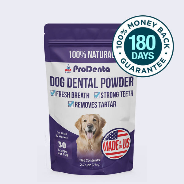 ProDenta Dental Powder
