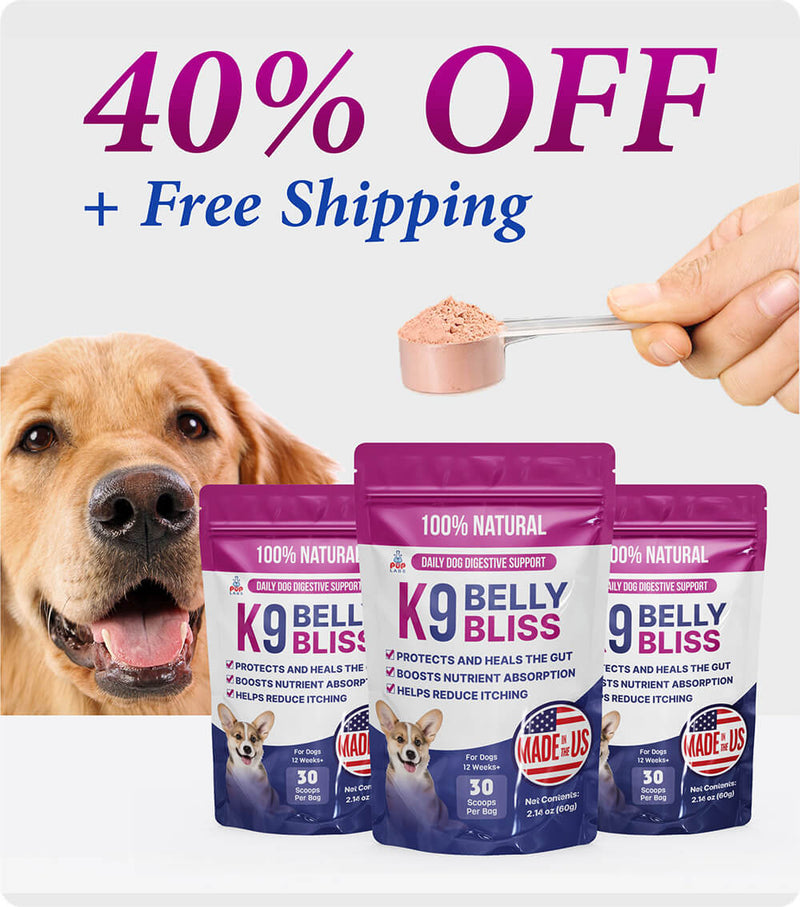 Vet-Recommended Allergy Support