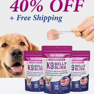 Vet-Recommended Allergy Support