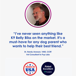 Vet-Recommended Allergy Support