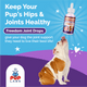 Vet-recommended Joint Pain Relief