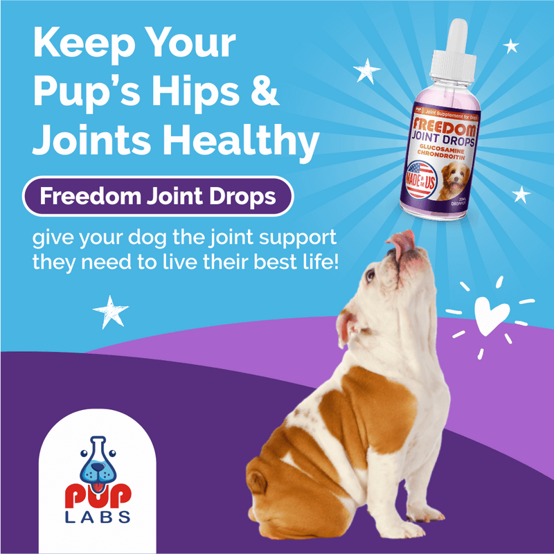Vet-recommended Joint Pain Relief