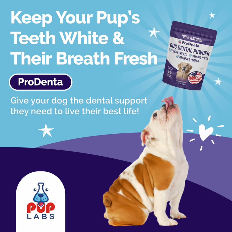 ProDenta Dental Powder