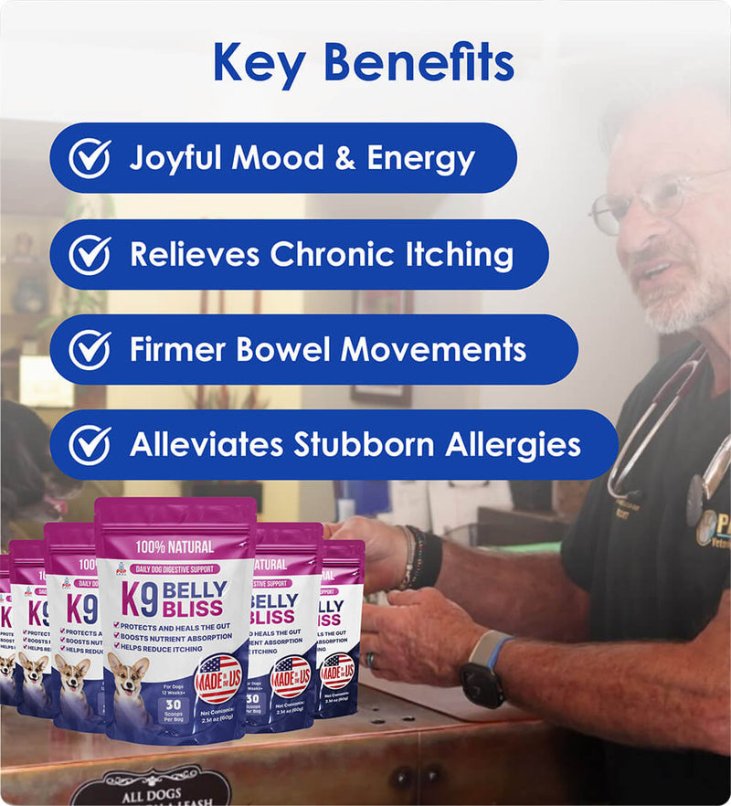 Vet-Recommended Allergy Support