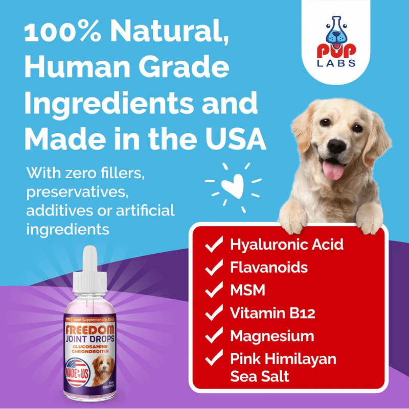 Vet-recommended Joint Pain Relief