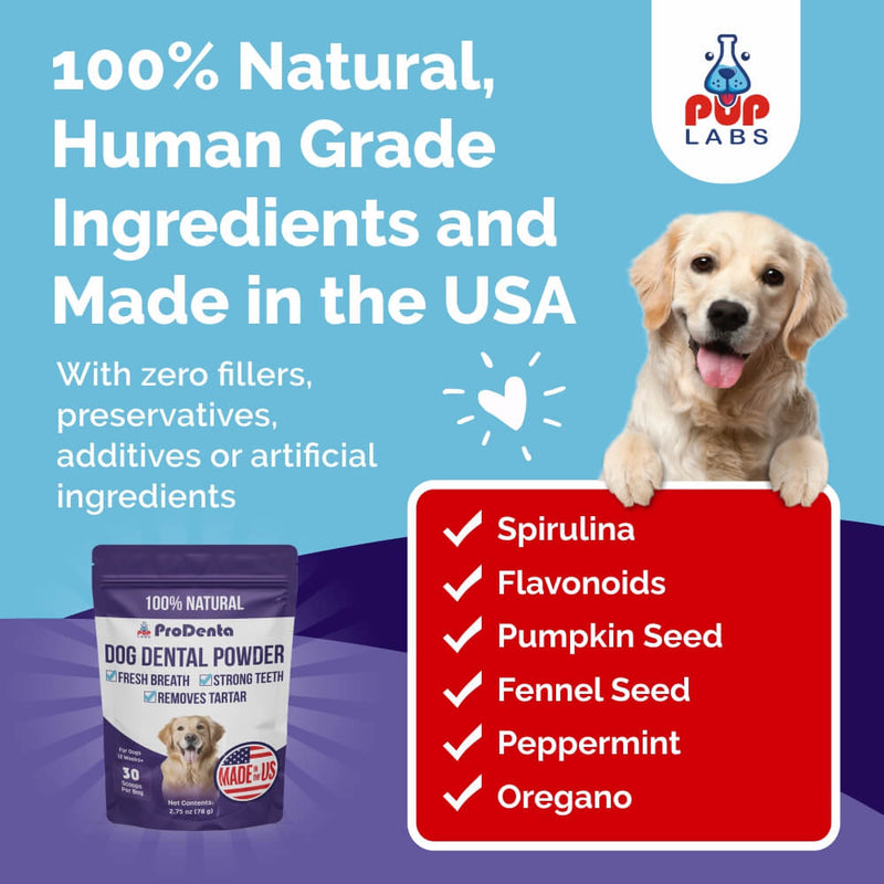 ProDenta Dental Powder