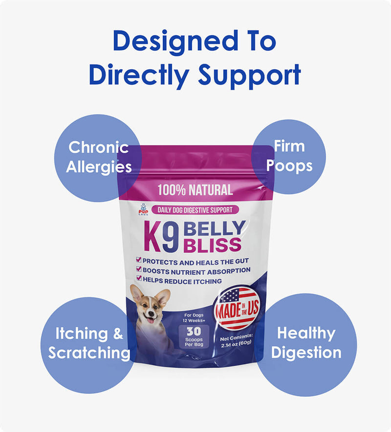 Vet-Recommended Allergy Support