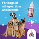 Vet-recommended Joint Pain Relief
