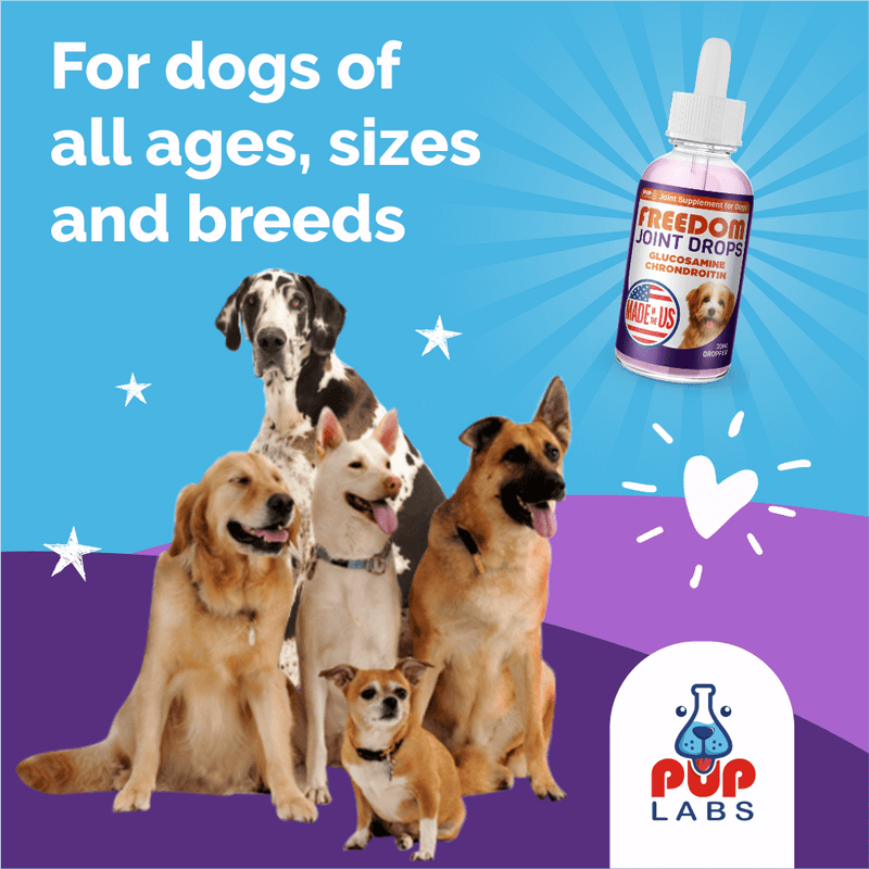 Vet-recommended Joint Pain Relief