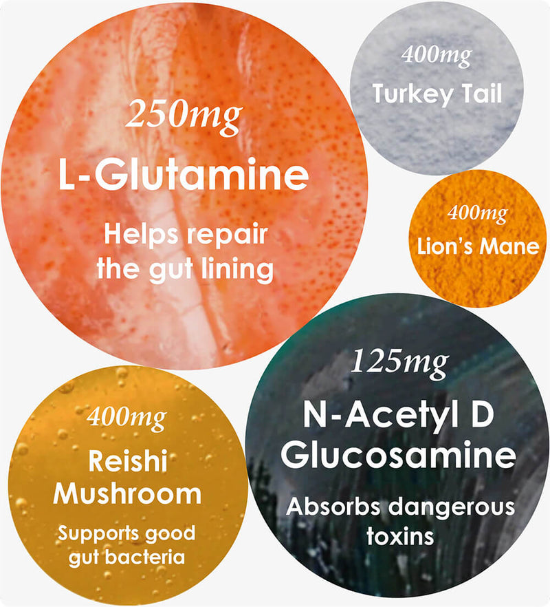 Vet-Recommended Allergy Support