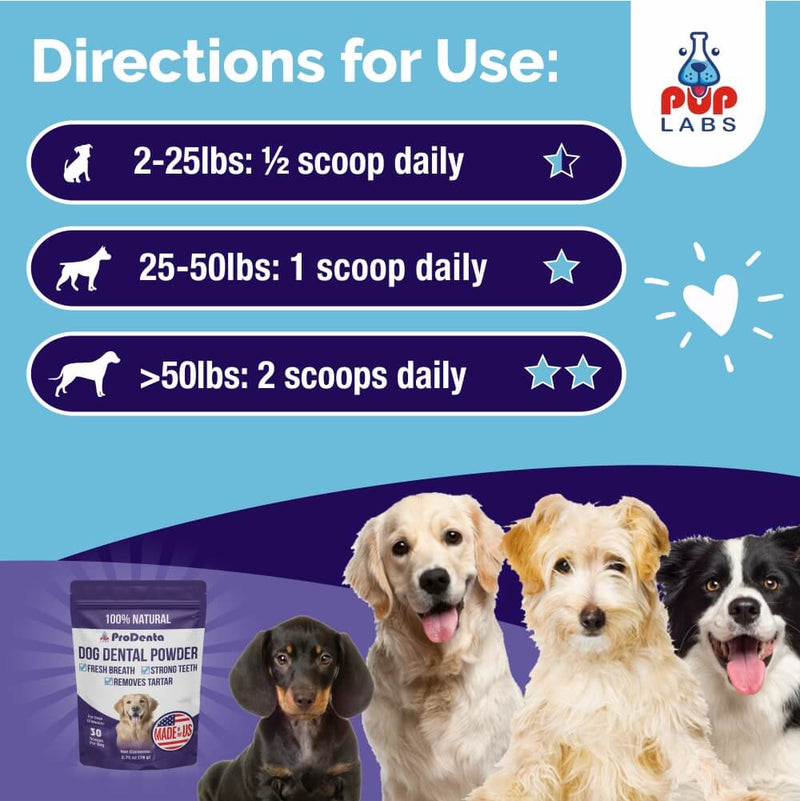 ProDenta Dental Powder