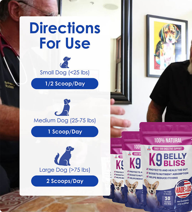 Vet-Recommended Allergy Support