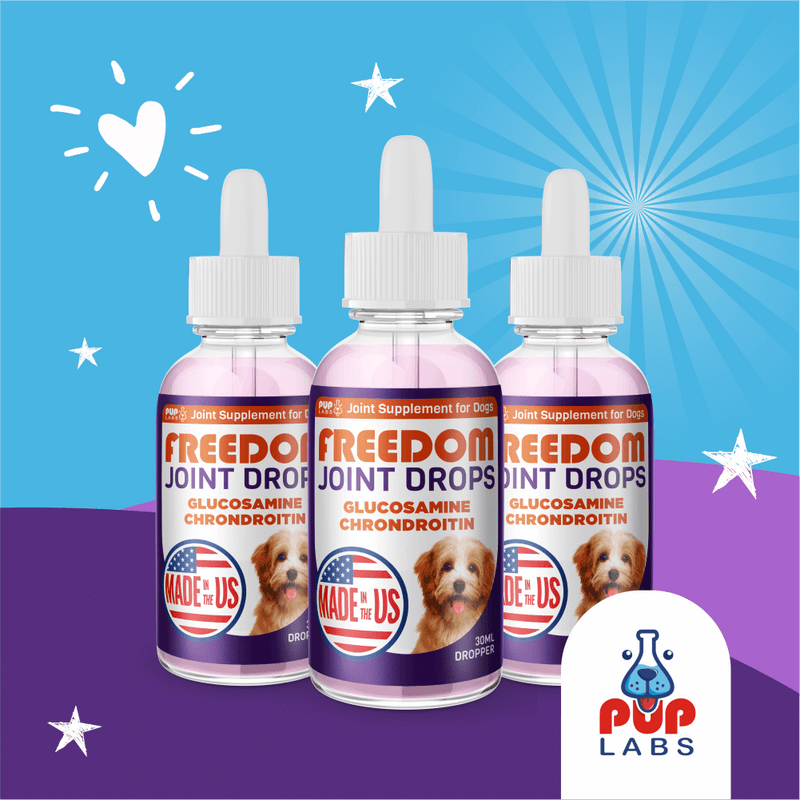 Vet-recommended Joint Pain Relief