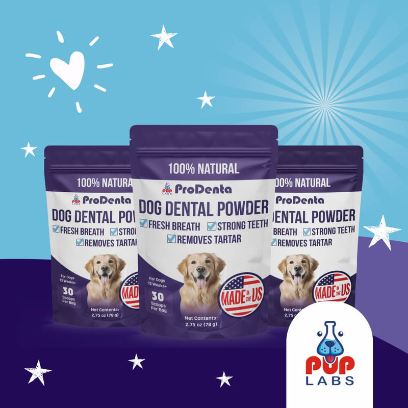 ProDenta Dental Powder