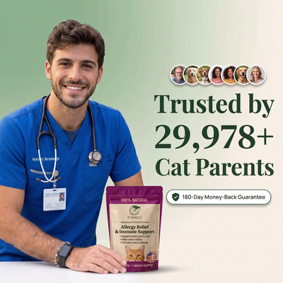 cat-gut-gallery-7