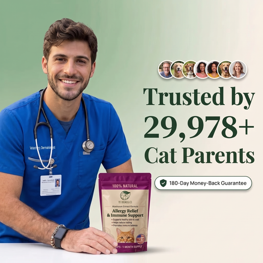 cat-gut-gallery-7