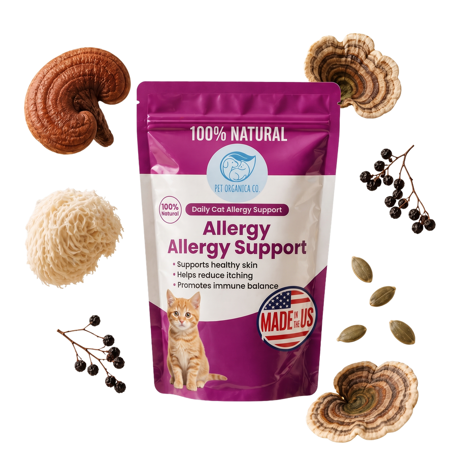 Vet-recommended Gut Support For Cats