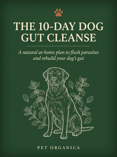 The 10-Day Dog Gut Cleanse