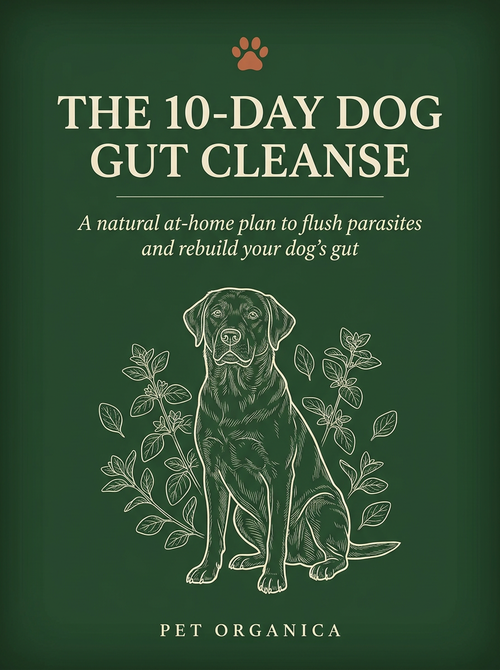 The 10-Day Dog Gut Cleanse