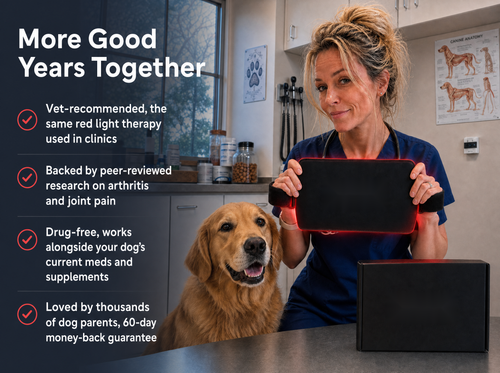 Red Light Therapy Pad for Dogs