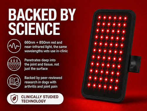 Red Light Therapy Pad for Dogs