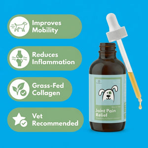 Vet-Recommended Joint Pain Relief