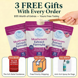 Vet-recommended Allergy Support | Save Your Dog From Constant Itching!