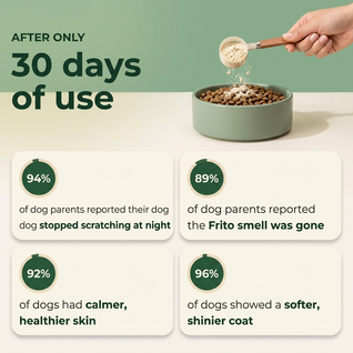 Vet-recommended Gut Support