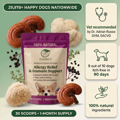 Mushroom Allergy Gut Support