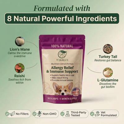 Mushroom Allergy Gut Support