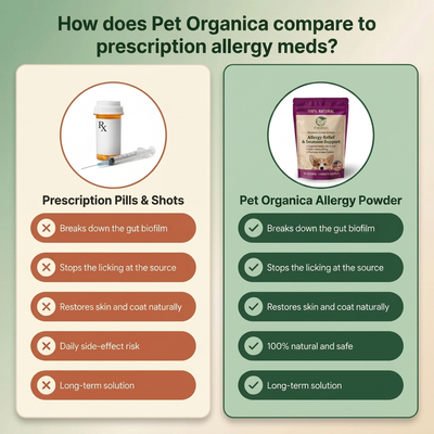 Mushroom Allergy Gut Support