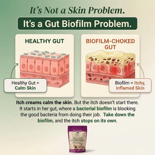 Vet-recommended Gut Support