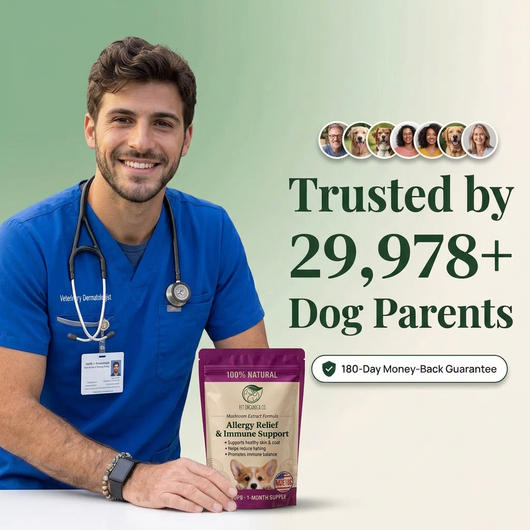 Mushroom Allergy Gut Support